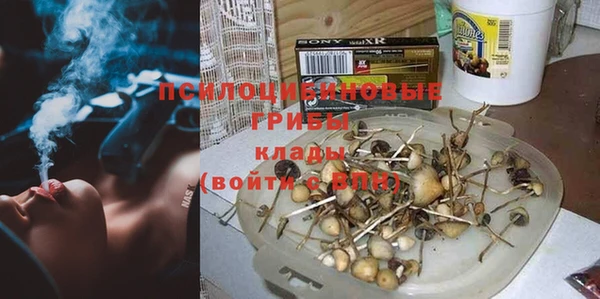 первитин Бородино