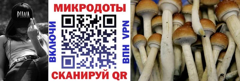 Галлюциногенные грибы Cubensis Купить где Амурск